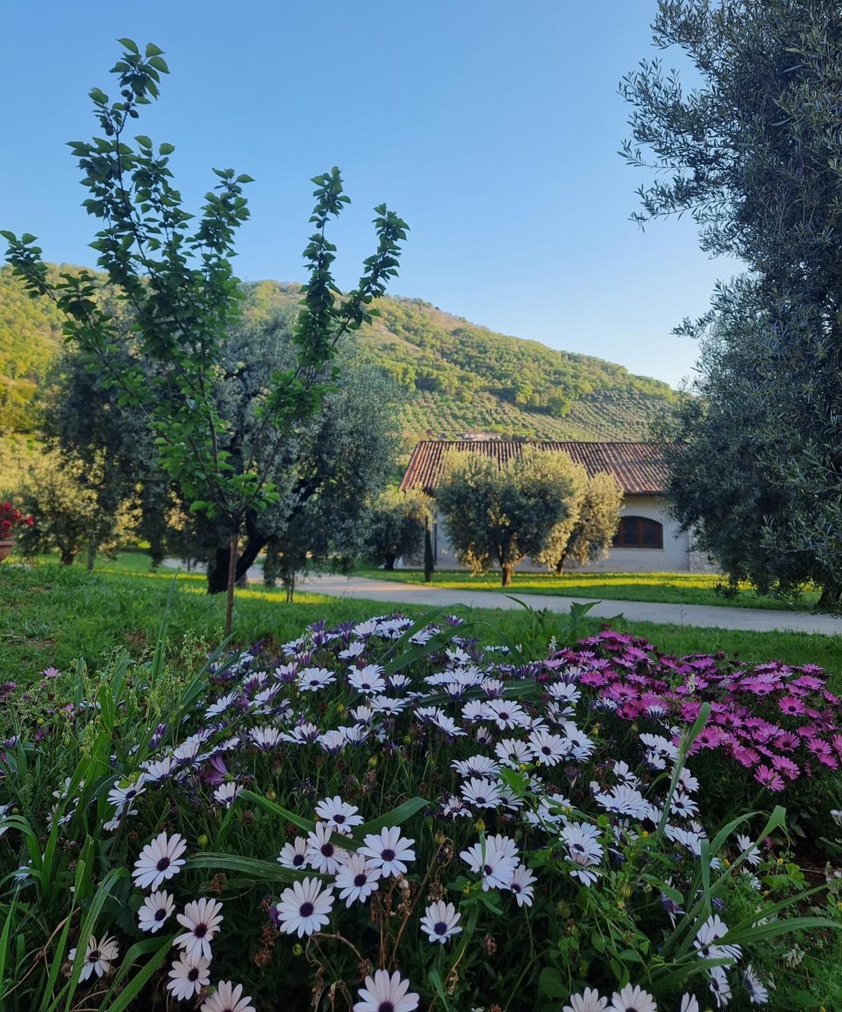 Casale Dei Priori Bed & Breakfast Rocca Massima Ngoại thất bức ảnh